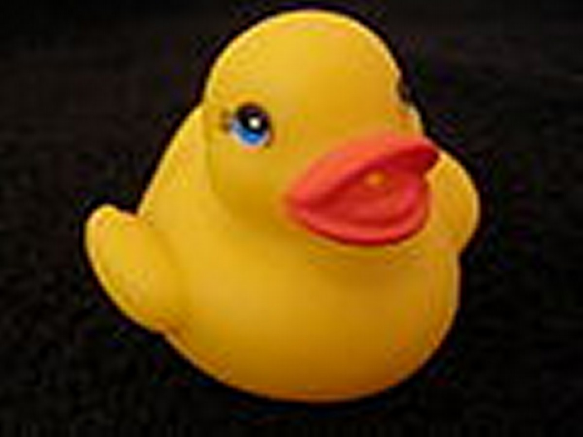 120px-Bath_duck