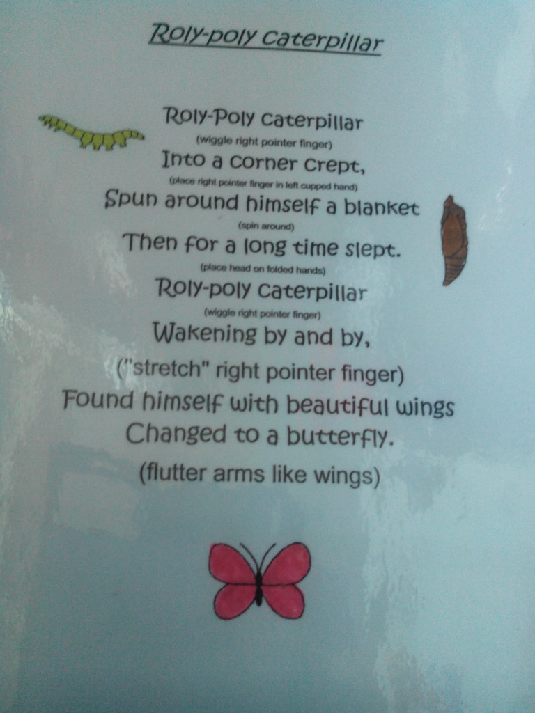 roly poly caterpillar song children lyrics