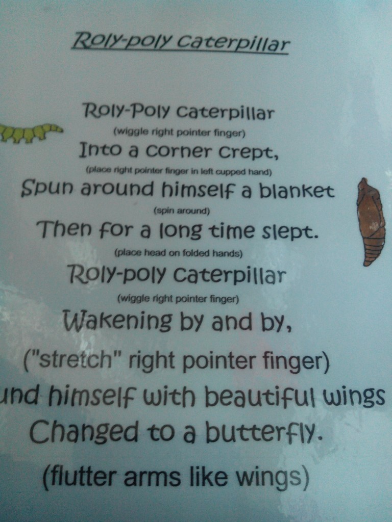 roly poly caterpillar song children lyrics